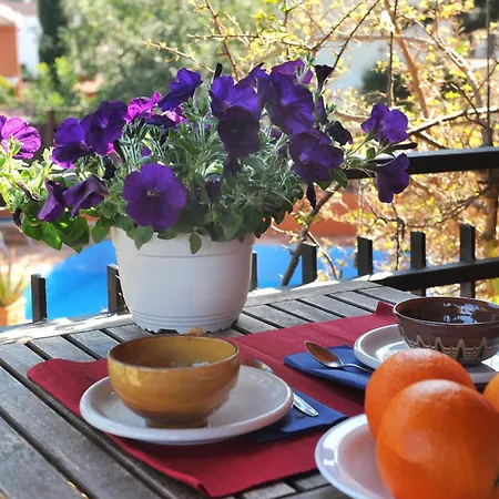 Olives Holiday home *